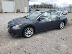 Salvage cars for sale from Copart Lawrenceburg, KY: 2011 Nissan Maxima S