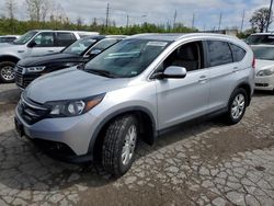 Salvage cars for sale at Bridgeton, MO auction: 2014 Honda CR-V EXL