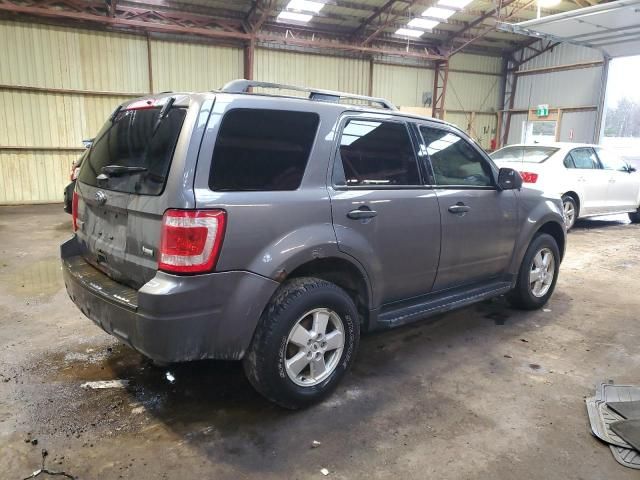 2011 Ford Escape XLT