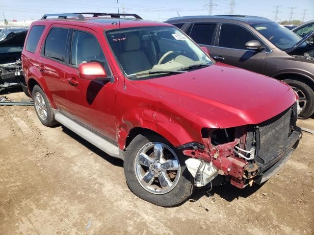 2011 Ford Escape Limited