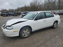 Salvage cars for sale at Ellwood City, PA auction: 2005 Chevrolet Classic