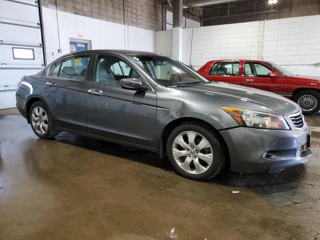 2008 Honda Accord EXL