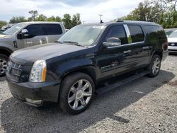 Cadillac salvage cars for sale: 2012 Cadillac Escalade ESV Premium