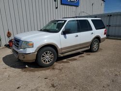 Vehiculos salvage en venta de Copart Amarillo, TX: 2011 Ford Expedition XLT