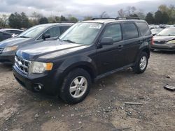 Ford Escape salvage cars for sale: 2011 Ford Escape XLT