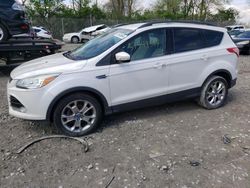 Salvage cars for sale from Copart Cicero, IN: 2013 Ford Escape SEL