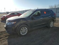 Salvage cars for sale at Greenwood, NE auction: 2017 Nissan Rogue S