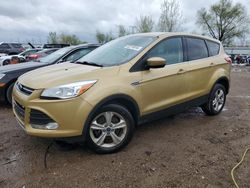 Salvage cars for sale from Copart Elgin, IL: 2014 Ford Escape SE