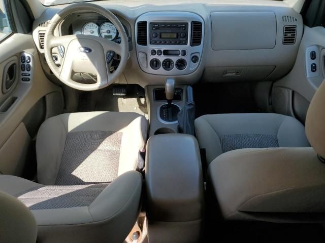 2005 Ford Escape XLT