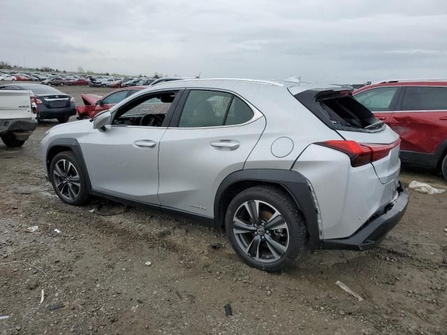 2020 Lexus UX 250H