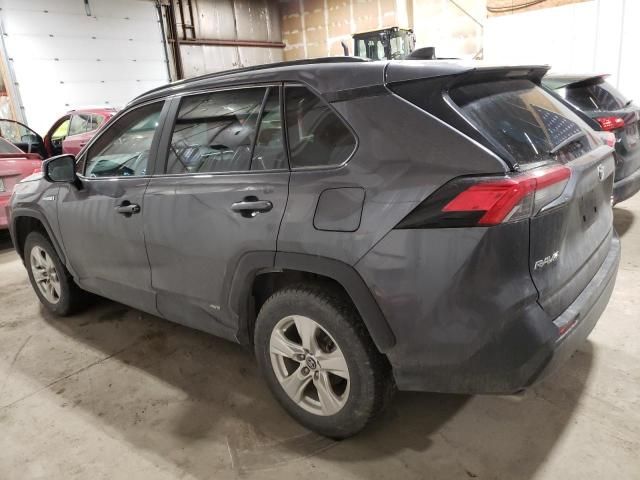 2020 Toyota Rav4 XLE