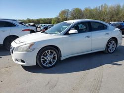 Salvage cars for sale from Copart Glassboro, NJ: 2014 Nissan Maxima S