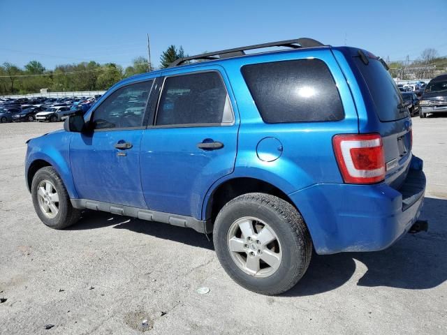 2011 Ford Escape XLT