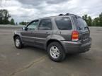 2006 Ford Escape Limited