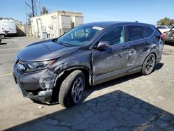 Salvage cars for sale at Hayward, CA auction: 2019 Honda CR-V EX