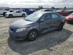 Salvage cars for sale at Antelope, CA auction: 2009 Toyota Corolla Base