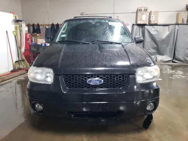 2005 Ford Escape Limited