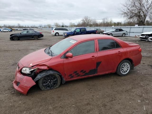 2010 Toyota Corolla Base