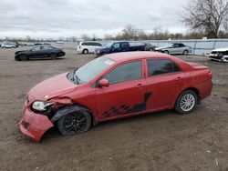 Salvage cars for sale from Copart London, ON: 2010 Toyota Corolla Base