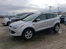 Salvage cars for sale at Chicago Heights, IL auction: 2016 Ford Escape SE