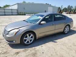 Salvage cars for sale from Copart Hampton, VA: 2006 Nissan Maxima SE