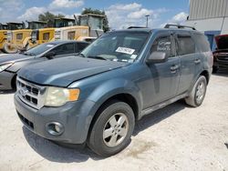 Salvage cars for sale from Copart Apopka, FL: 2010 Ford Escape XLT