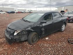 Salvage cars for sale from Copart Phoenix, AZ: 2010 Toyota Corolla Base