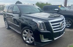 Salvage cars for sale at Madisonville, TN auction: 2015 Cadillac Escalade Luxury