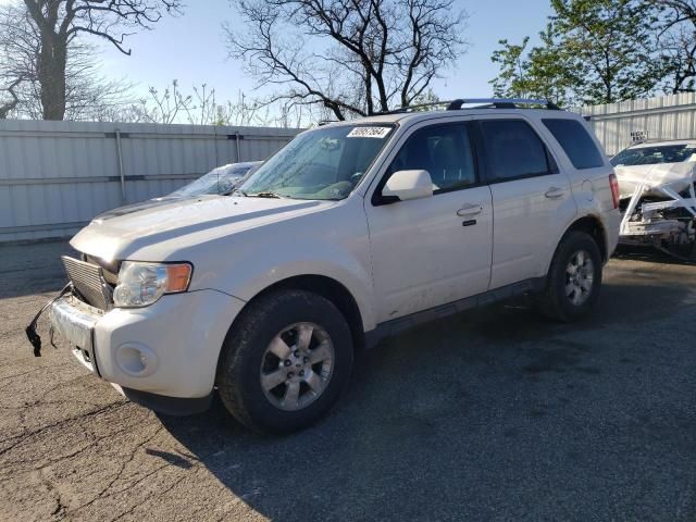 2011 Ford Escape Limited