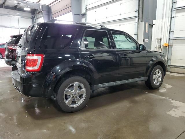 2010 Ford Escape Limited