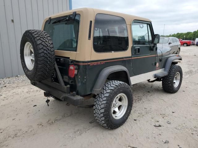 1993 Jeep Wrangler / YJ Sahara