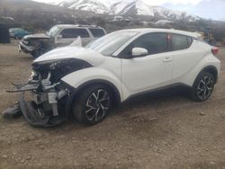 Salvage cars for sale at Reno, NV auction: 2019 Toyota C-HR XLE