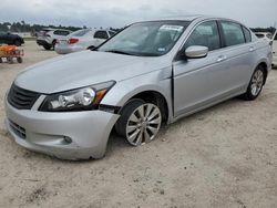 Salvage cars for sale from Copart Houston, TX: 2008 Honda Accord EXL