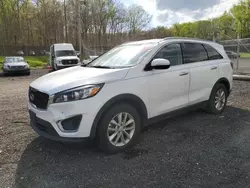 Salvage cars for sale from Copart Finksburg, MD: 2017 KIA Sorento LX