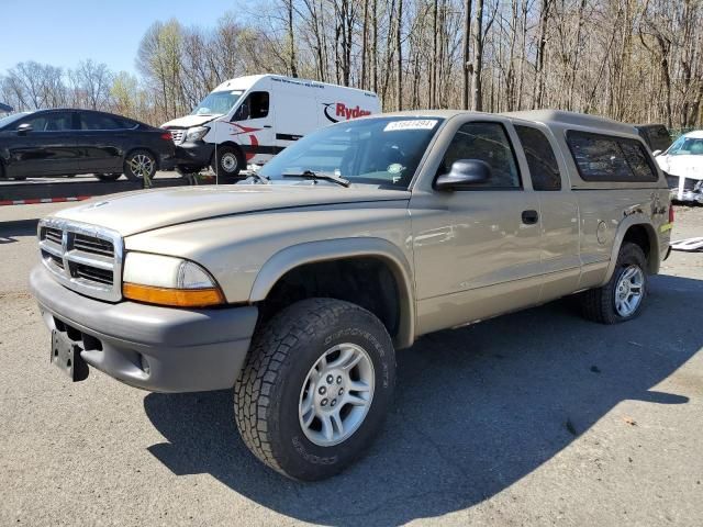 2004 Dodge Dakota SXT