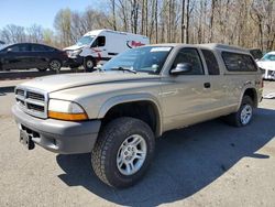 Salvage cars for sale from Copart East Granby, CT: 2004 Dodge Dakota SXT