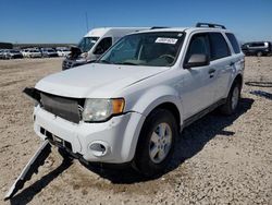 Ford Escape salvage cars for sale: 2011 Ford Escape XLT