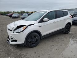 Ford salvage cars for sale: 2014 Ford Escape SE