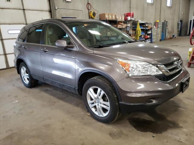 2010 Honda CR-V EXL