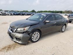 Salvage cars for sale at San Antonio, TX auction: 2013 Honda Accord EXL