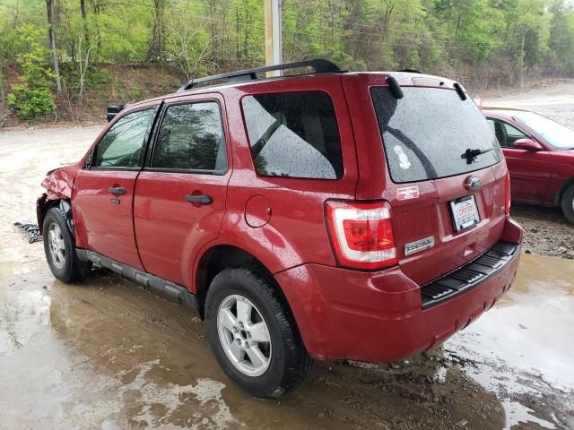 2010 Ford Escape XLT