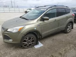 Salvage cars for sale at Nisku, AB auction: 2013 Ford Escape SE