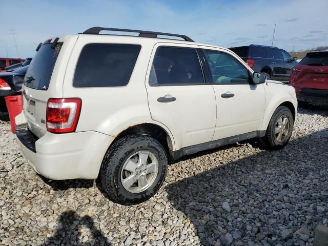 2012 Ford Escape XLT