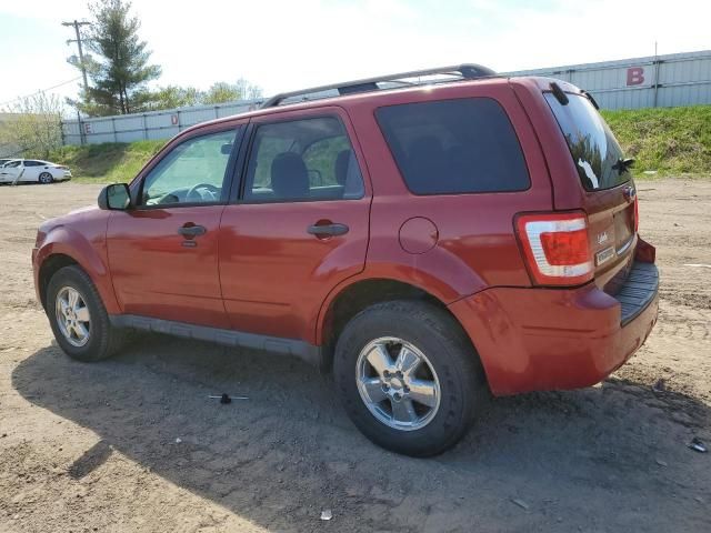 2010 Ford Escape XLT