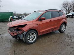 Vehiculos salvage en venta de Copart Baltimore, MD: 2019 Ford Escape SEL