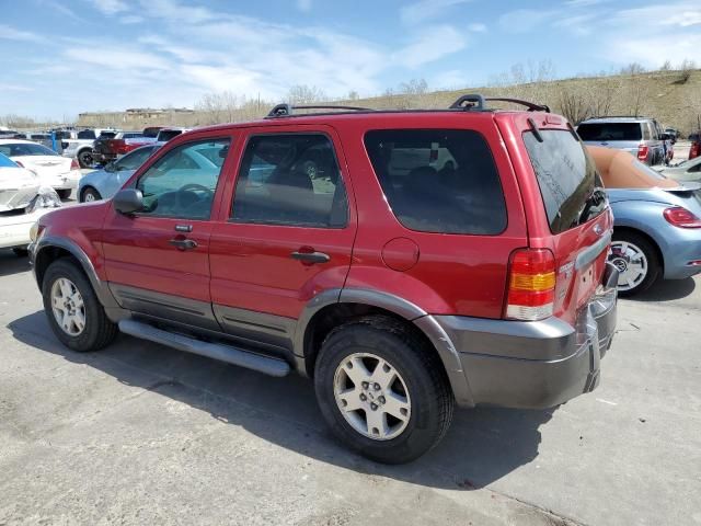 2006 Ford Escape XLT