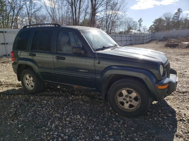 2002 Jeep Liberty Limited