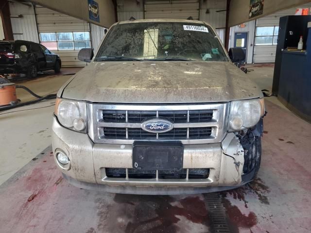 2012 Ford Escape XLT