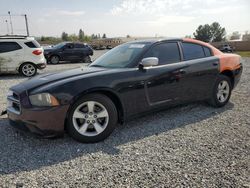 Salvage cars for sale at Mentone, CA auction: 2013 Dodge Charger SE