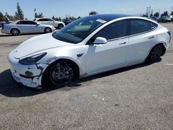 Salvage cars for sale at Rancho Cucamonga, CA auction: 2023 Tesla Model 3